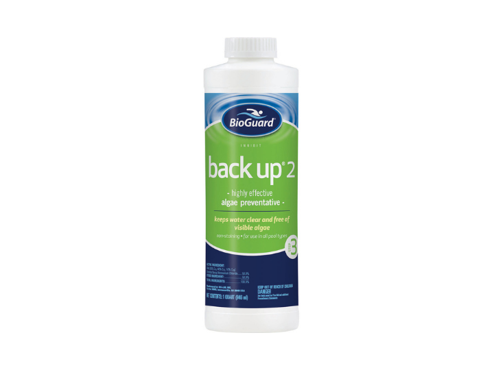BioGuard Back Up 2 Algaecide - 1 Qt. - Leisure Time Inc.