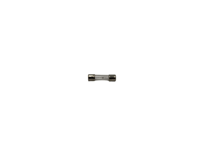 Watkins Wellness 2A 250V Fuse 302556