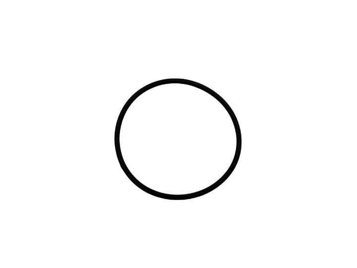 Watkins Wellness Compression Fitting O-Ring 34447