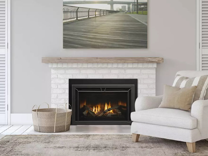 Cosmo Insert 30" - Heat & Glo Built-In Fireplace - Leisure Time Inc.