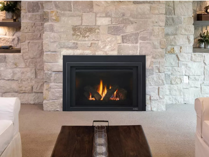 Provident Insert 30" - Heat & Glo Fireplace Insert - Leisure Time Inc.
