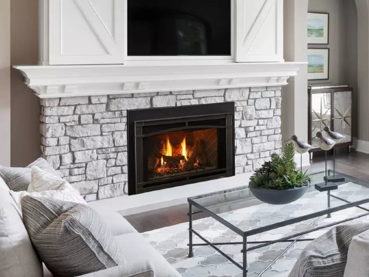 Supreme Insert 25" - Heat & Glo Fireplace Insert - Leisure Time Inc.