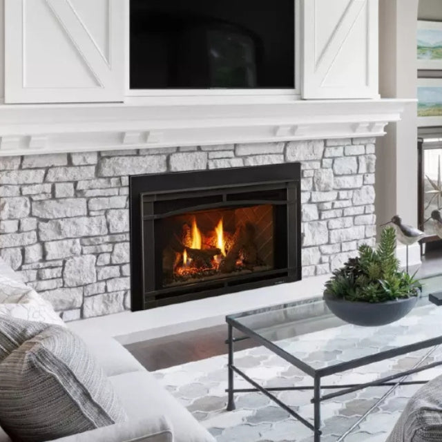 Heat & Glo Supreme Insert 25" Fireplace Insert