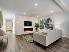 SimpliFire Allusion Slim 50